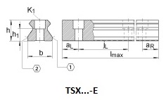 tsx ina